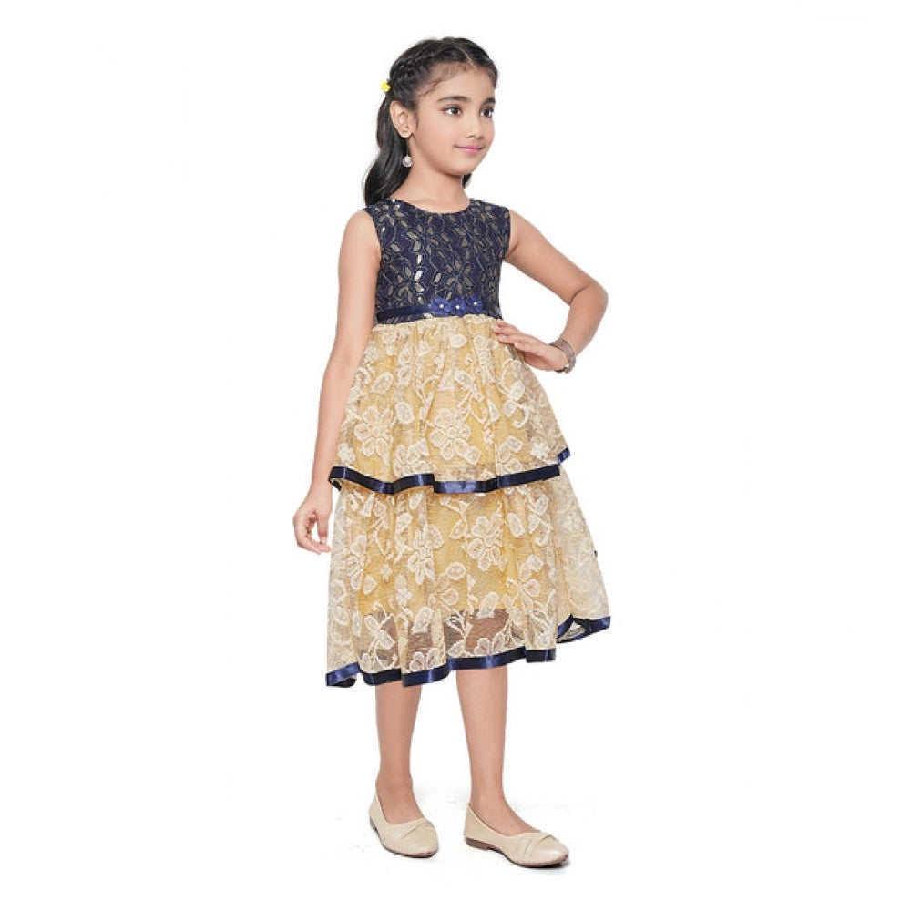 Girl's Fancy Net Net Sleeve Less Round Neck Dress (Blue)